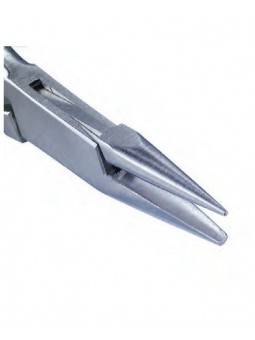 УЛЕЙНА КЛЕЩА