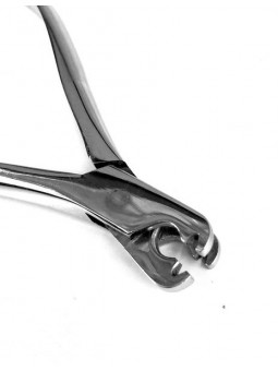 КЛЕЩА БЮГЕЛНА